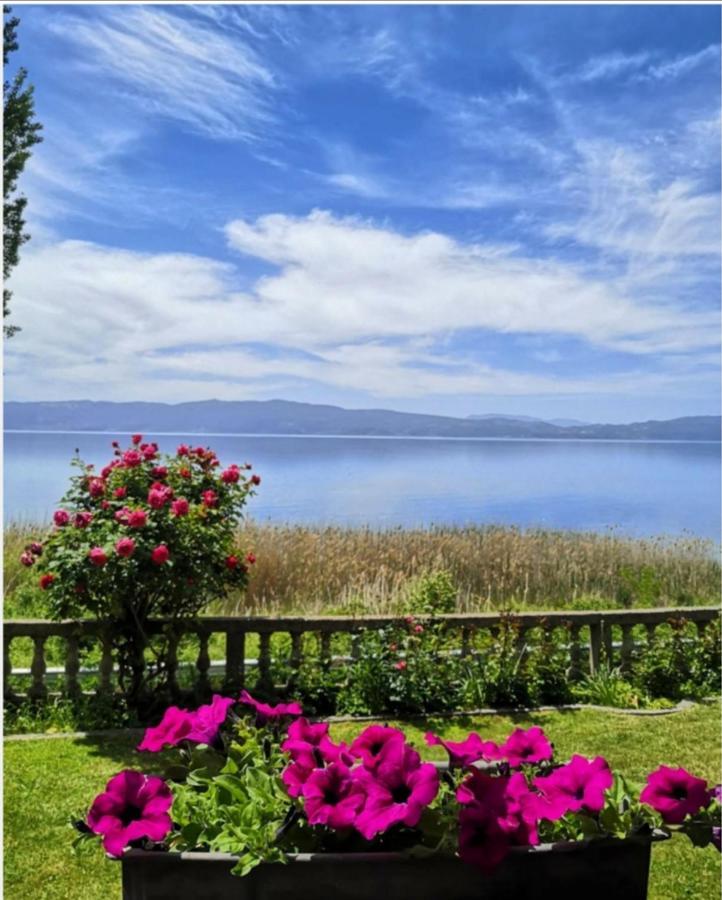 Villa Stefan Ohrid Eksteriør billede